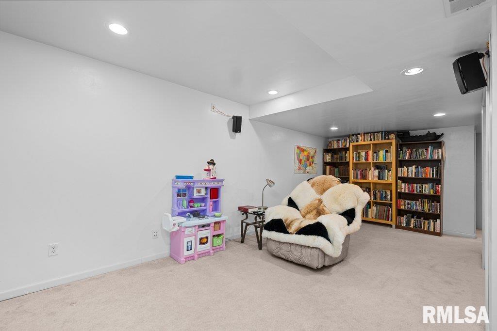 308 8th Avenue Hampton, IL 61256 - Photo 36 of 44