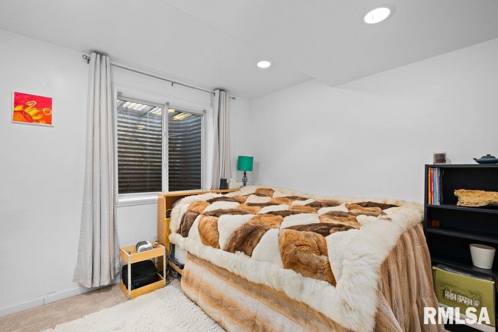 308 8th Avenue Hampton, IL 61256 - Photo 39 of 44