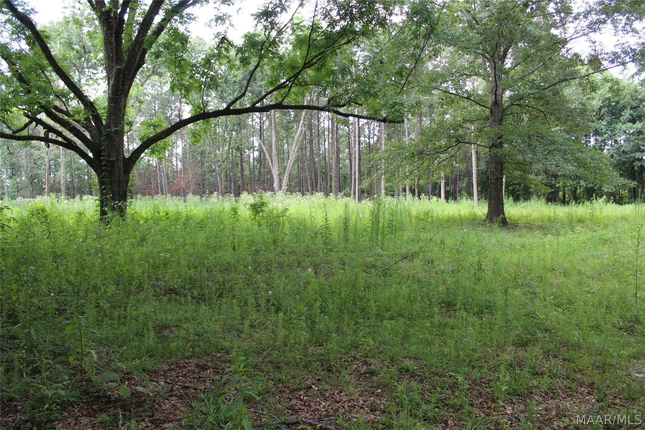 1563 Fort Deposit Road Fort Deposit, AL 36032 - Photo 3 of 6 Gallery Image 3