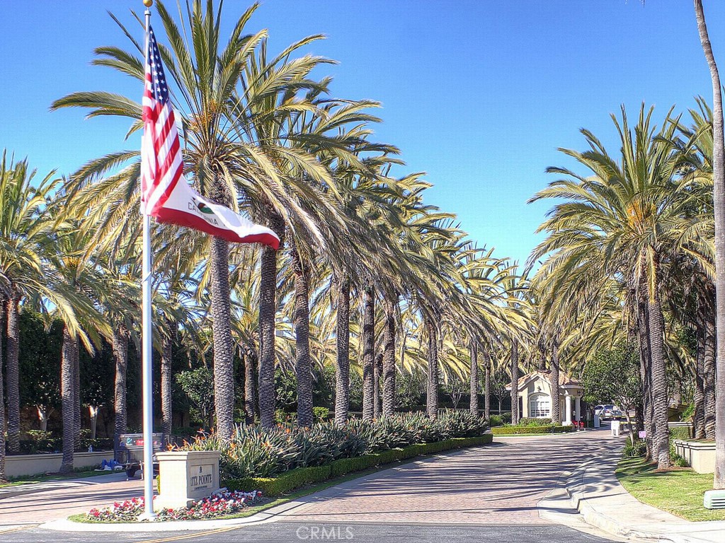 4 Corniche Drive, Unit B Dana Point, CA 92629 - Photo 39 of 41 a view of a palm trees front of a building