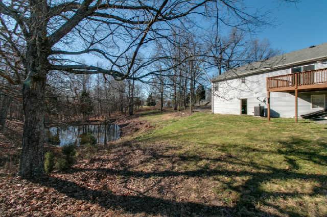 217 Red Top Road Indian Mound, TN 37079 - Photo 19 of 20 Beautiful wooded lot behind the home