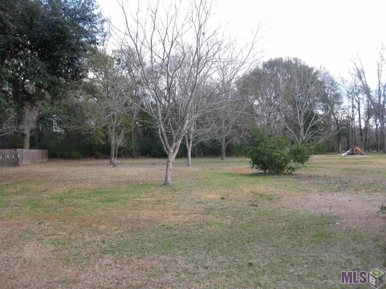 11226 Triche Road Gonzales, LA 70737 - Photo 22 of 24 Gallery Image 22