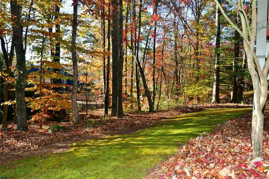 1767 Honey Tree Place Hoschton, GA 30548 - Photo 50 of 54 a view of a yard with large trees