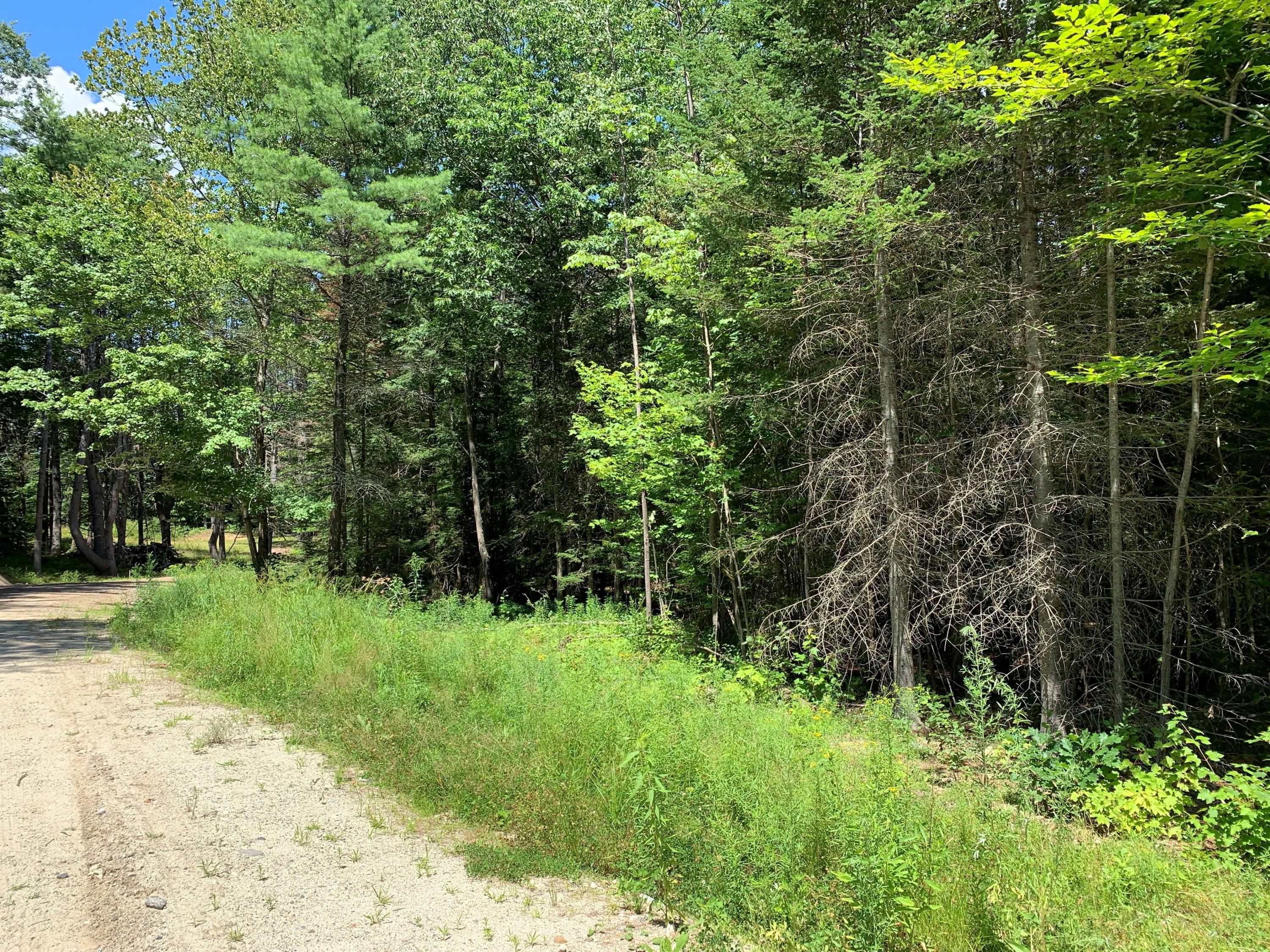 Lot B Lot B Off Passbrook Road Durham, ME 04222 - Photo 2 of 4 2