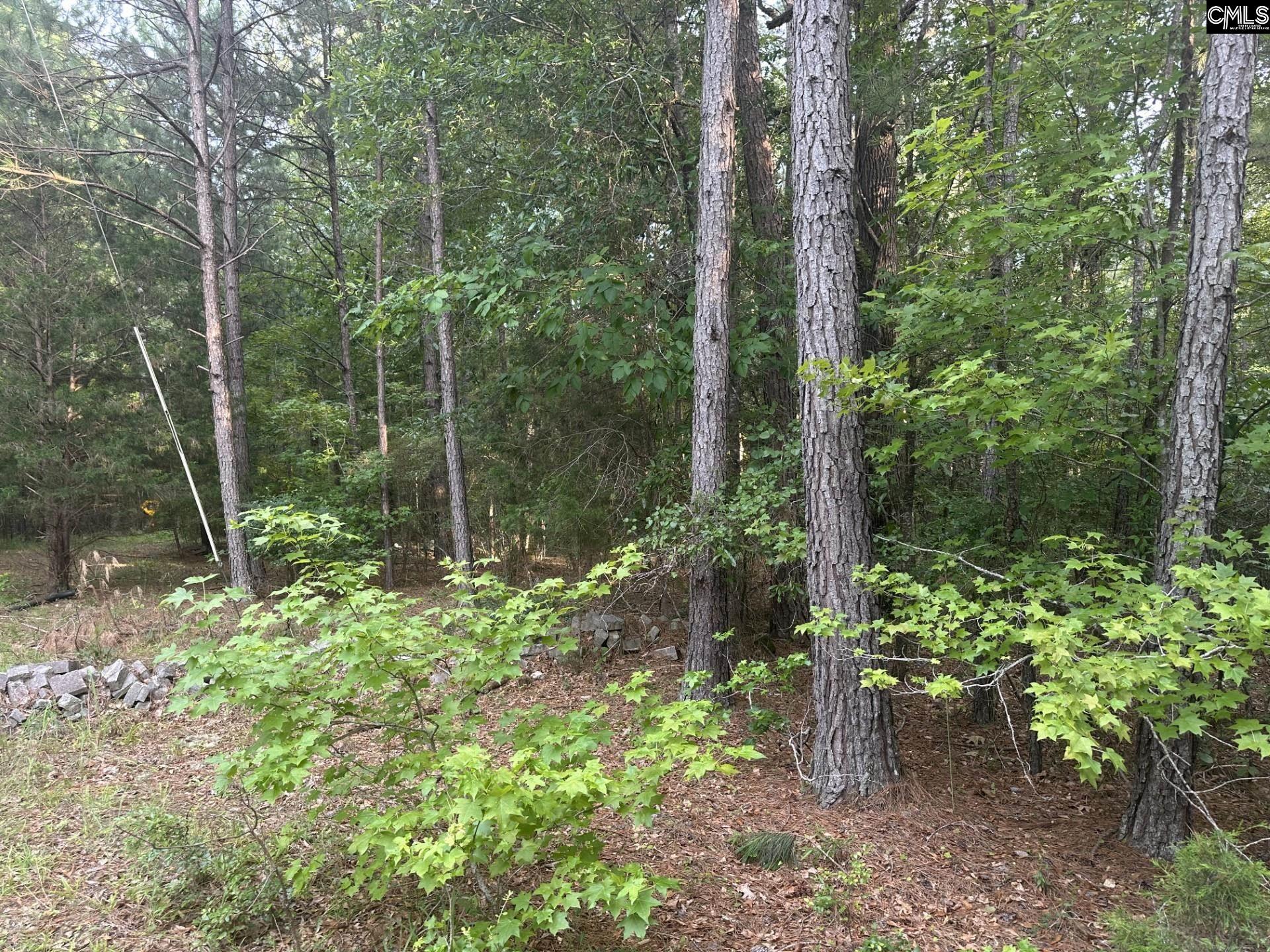 320 Dewdrop Drive Ridgeway, SC 29130 - Photo 2 of 6