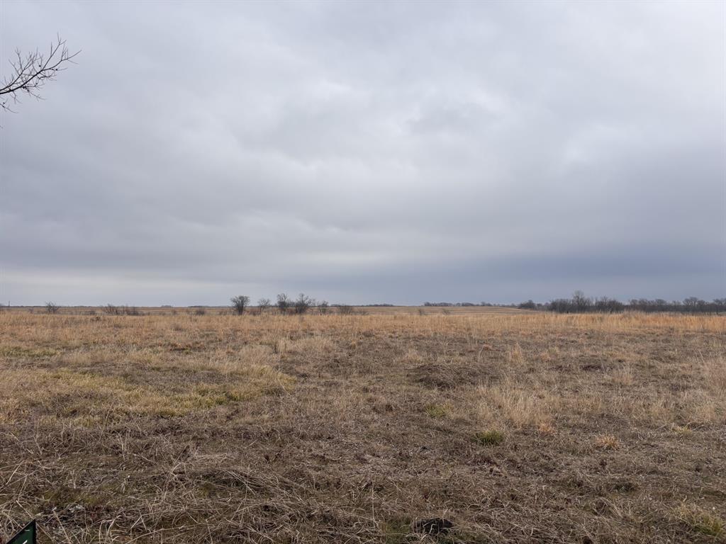Tbd Tbd County Road Pecan Gap, TX 75469 - Photo 2 of 8