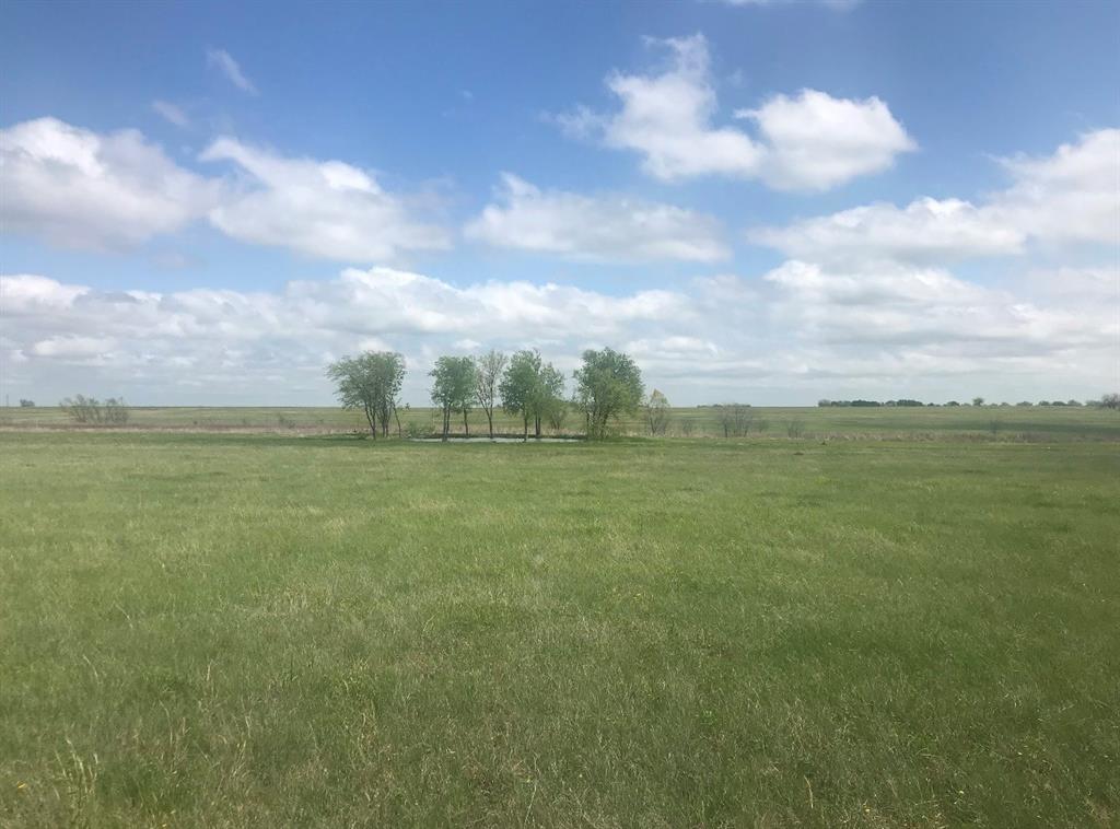 Tbd Tbd County Road Pecan Gap, TX 75469 - Photo 4 of 8 a view of a field with an ocean