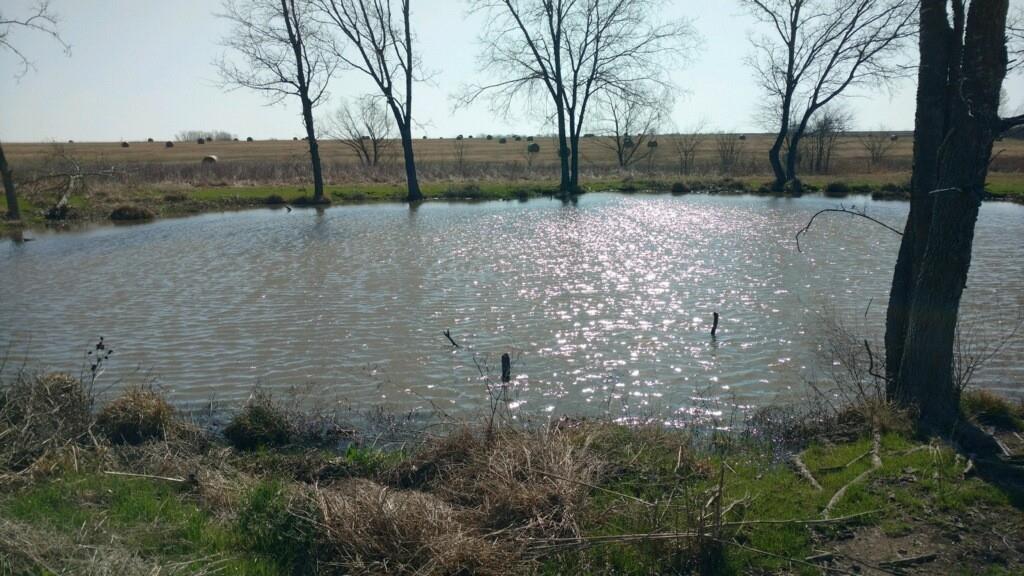 Tbd Tbd County Road Pecan Gap, TX 75469 - Photo 5 of 8 a view of outdoor space with trees