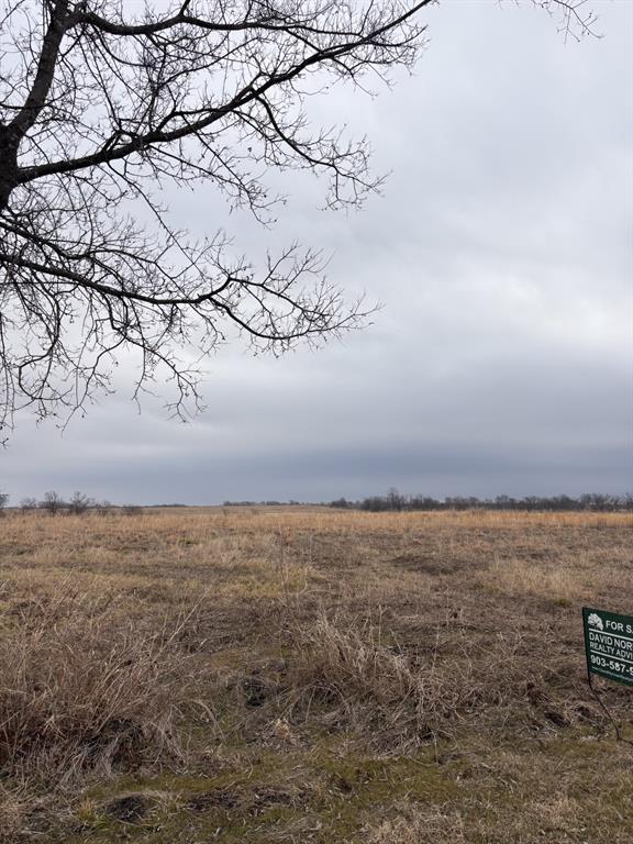 Tbd Tbd County Road Pecan Gap, TX 75469 - Photo 7 of 8 a view of an ocean