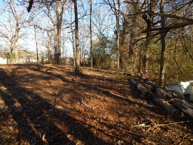 a view of dirt yard with a large tree