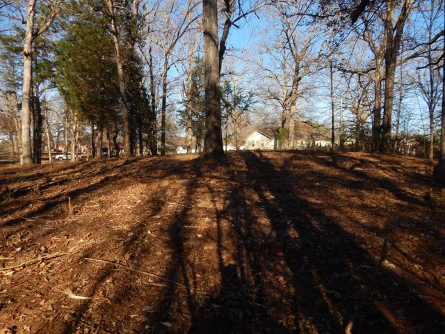 a view of a yard with snow on both side