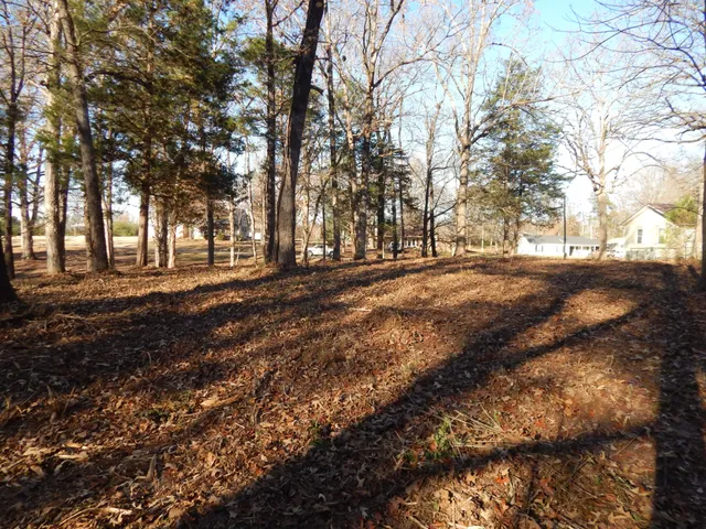 a view of dirt yard with a large tree