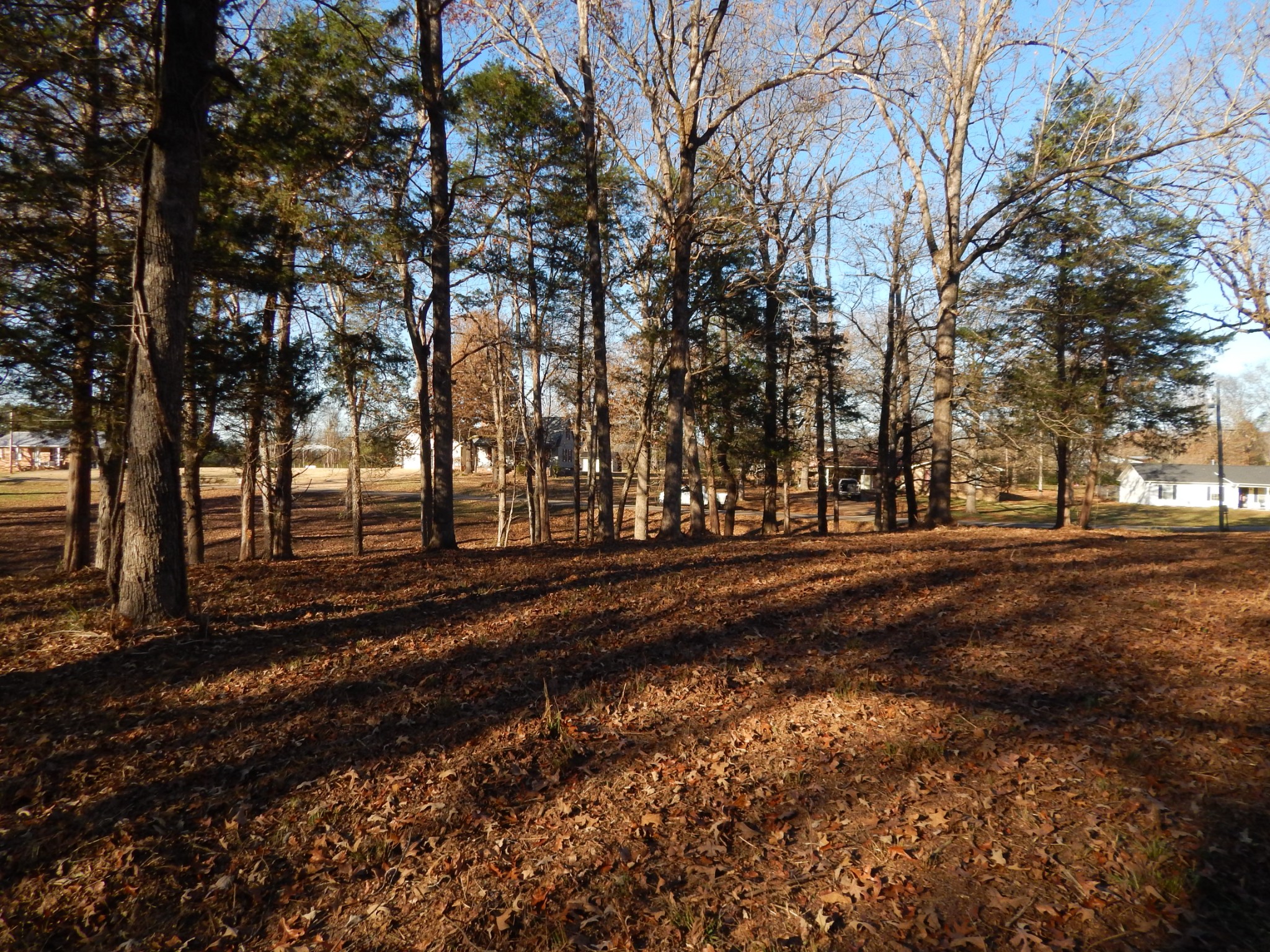 0 Cedar Cove Lane Savannah, TN 38372 - Photo 20 of 30