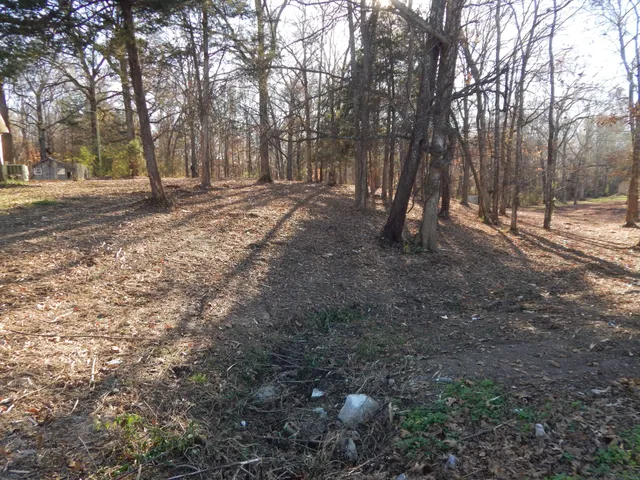a view of outdoor space with trees
