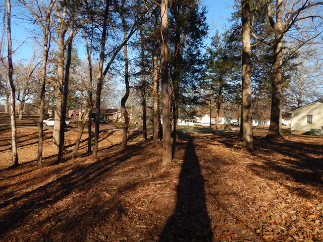 a view of a pathway with a yard