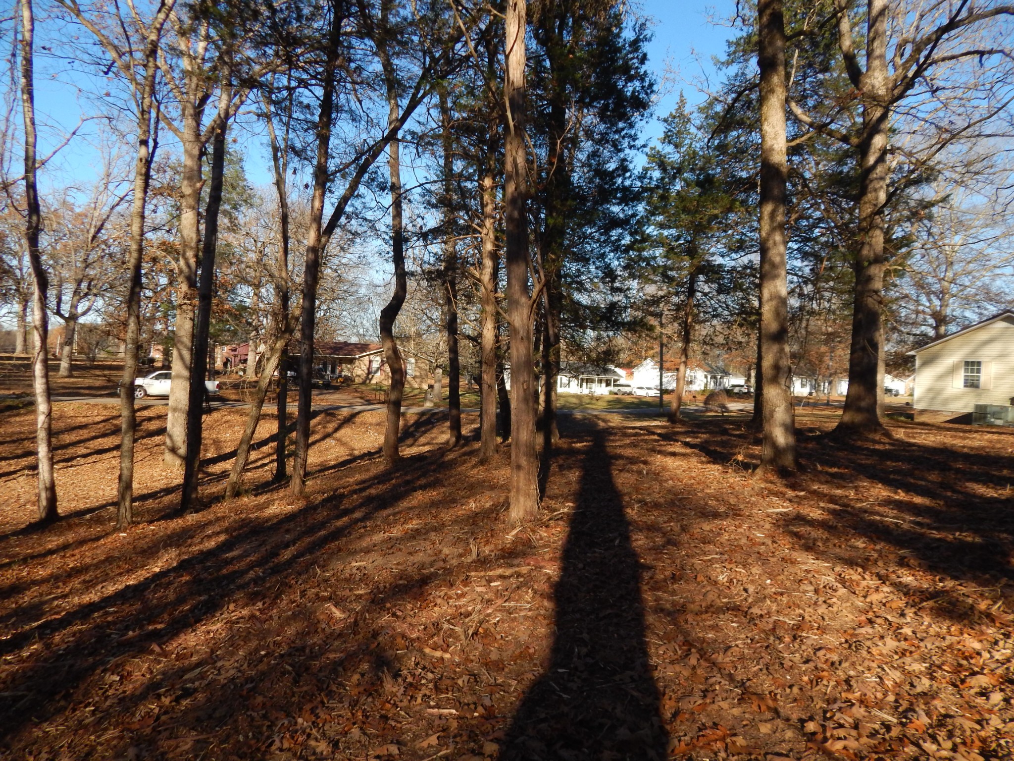 0 Cedar Cove Lane Savannah, TN 38372 - Photo 22 of 30