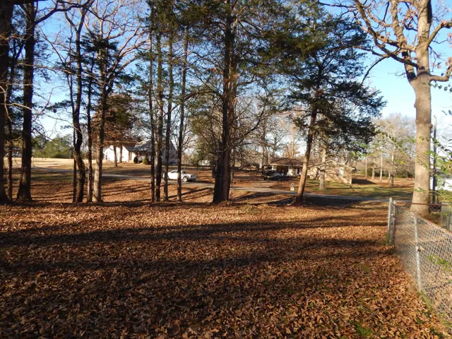 a view of park with trees