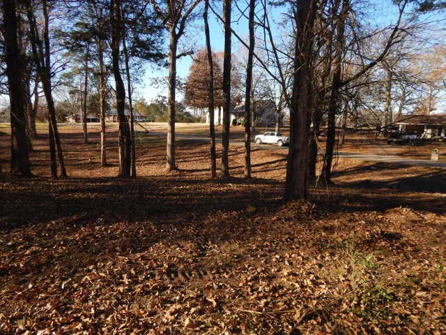 a view of a yard with tree s
