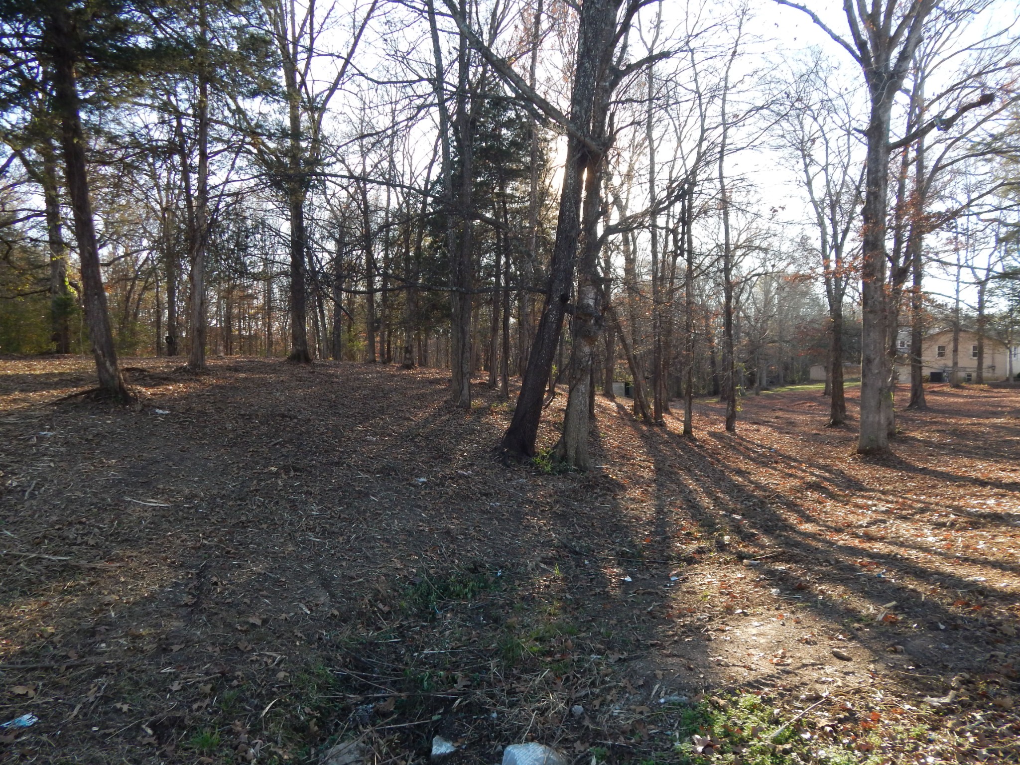 0 Cedar Cove Lane Savannah, TN 38372 - Photo 29 of 30