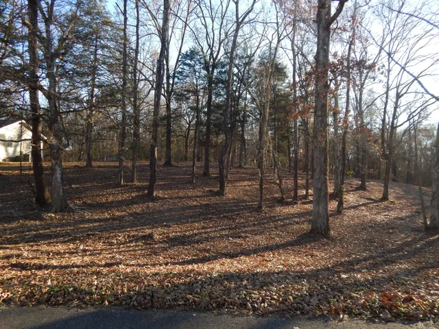 $14,000 | 0 Cedar Cove Lane, Savannah, TN 38372