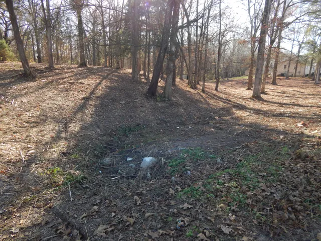 a view of empty space with trees