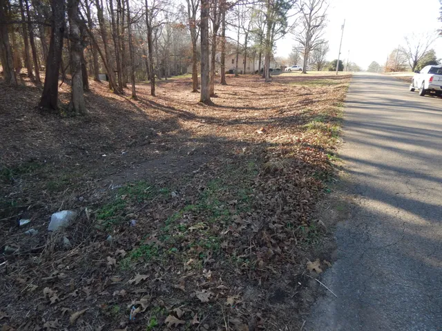 a view of road and trees