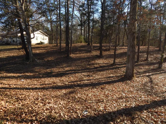 a view of a yard with trees