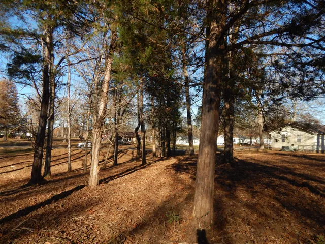 a view of road and trees