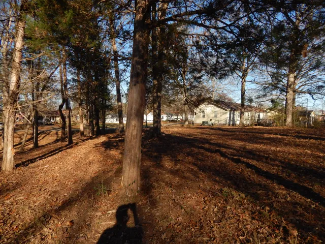a view of a yard with trees