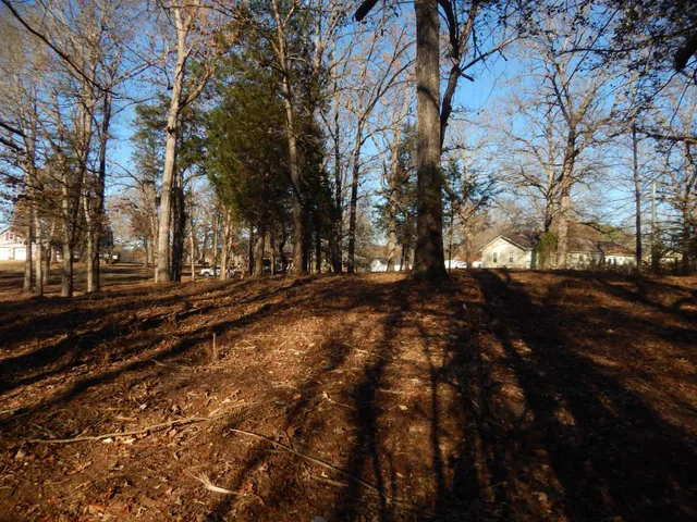 a view of road with trees
