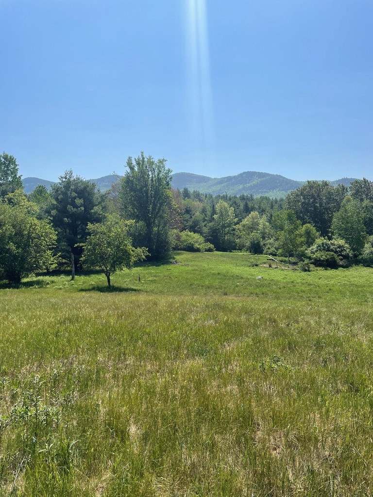 Tbd Stickney Bridge Road Jay, NY 12941 - Photo 14 of 39 Gallery Image 14