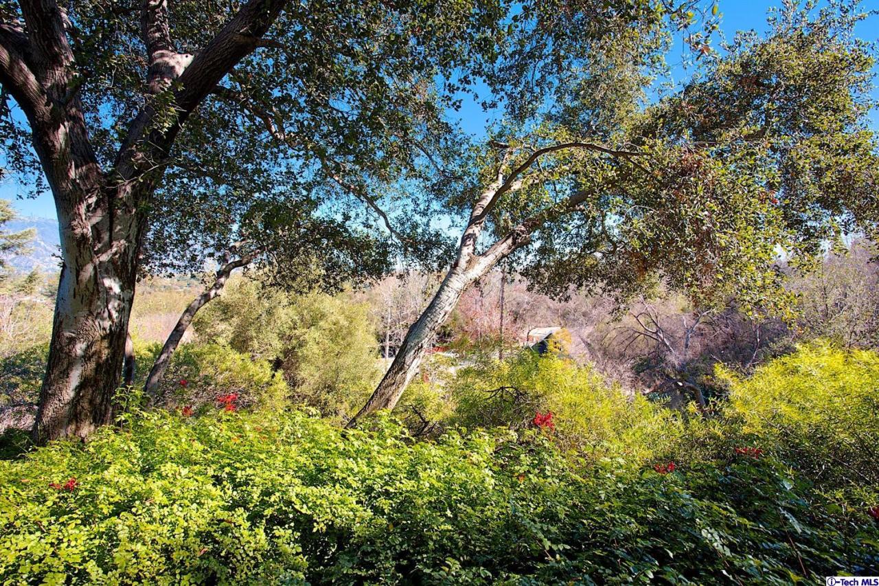 1114 Heatherside Road Pasadena, CA 91105 - Photo 33 of 35 a view of a tree in a garden