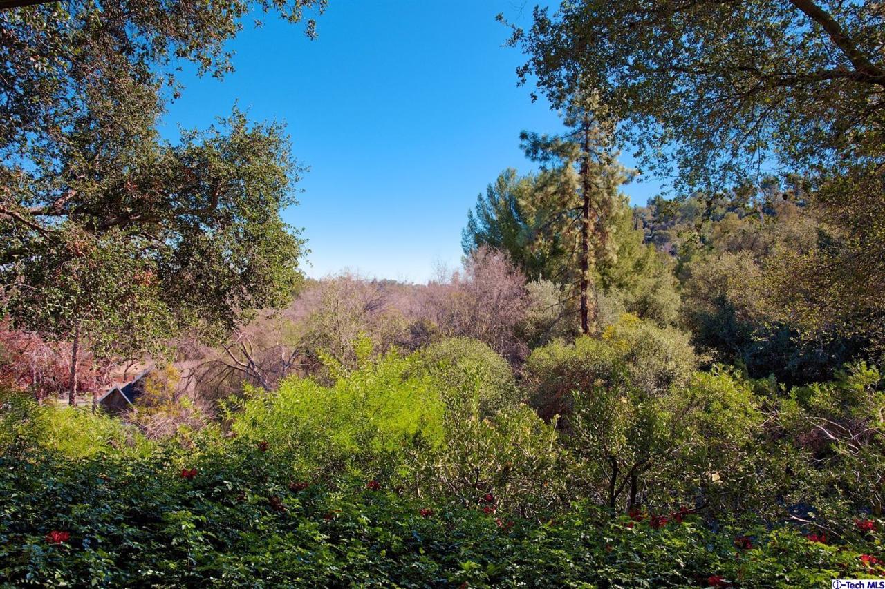 1114 Heatherside Road Pasadena, CA 91105 - Photo 34 of 35 a view of a bunch of trees and bushes