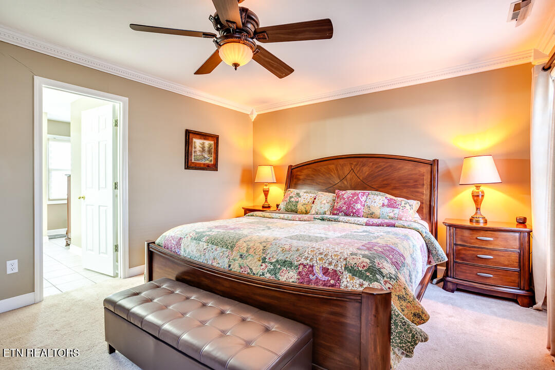 817 Tate Trotter Road Powell, TN 37849 - Photo 18 of 46 023260105-1-817TateTrotterRdPowellTn-SCR