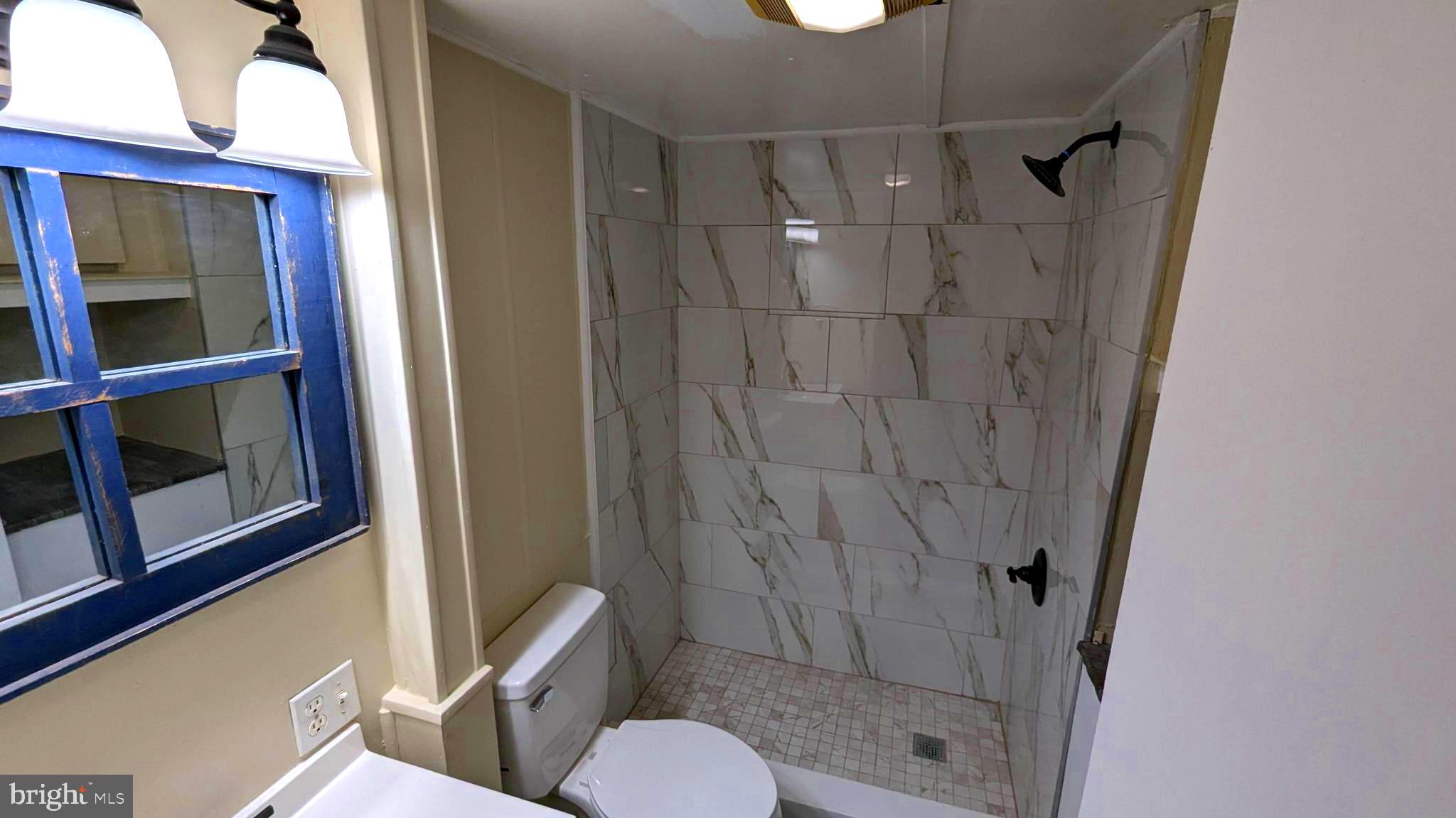 23232 Lola Wheatley Road Deal Island, MD 21821 - Photo 17 of 51 a bathroom with a shower and toilet