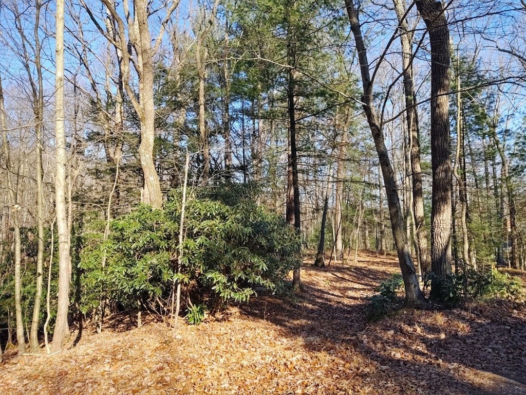 0 Raystown Road Huntingdon, PA 16652 - Photo 10 of 22 Gallery Image 10