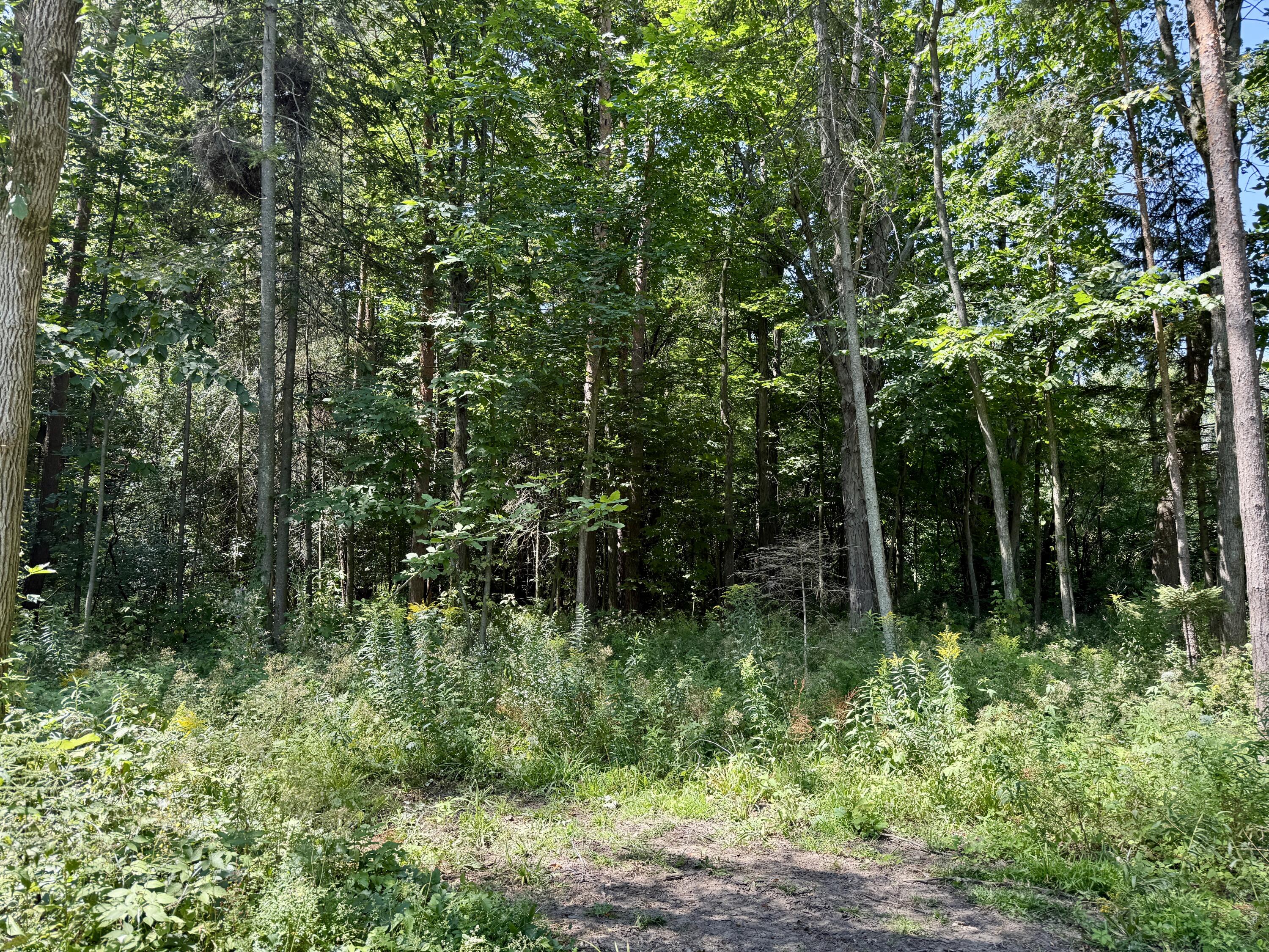 44 Bain Way Chazy, NY 12921 - Photo 93 of 100 Gallery Image 93