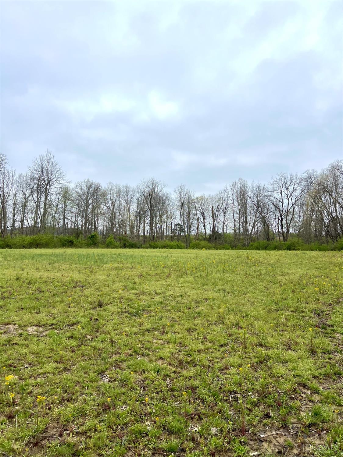 8294 Marks Road Georgetown, OH 45121 - Photo 47 of 96