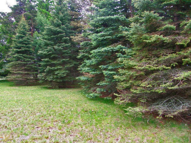 1431 East Preuss Road Manistee, MI 49660 - Photo 56 of 70 back yard2