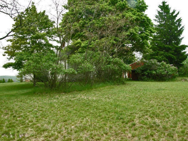 1431 East Preuss Road Manistee, MI 49660 - Photo 57 of 70 back yard3