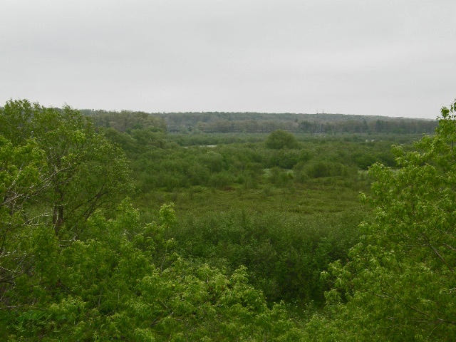 1431 East Preuss Road Manistee, MI 49660 - Photo 63 of 70 Picture 010