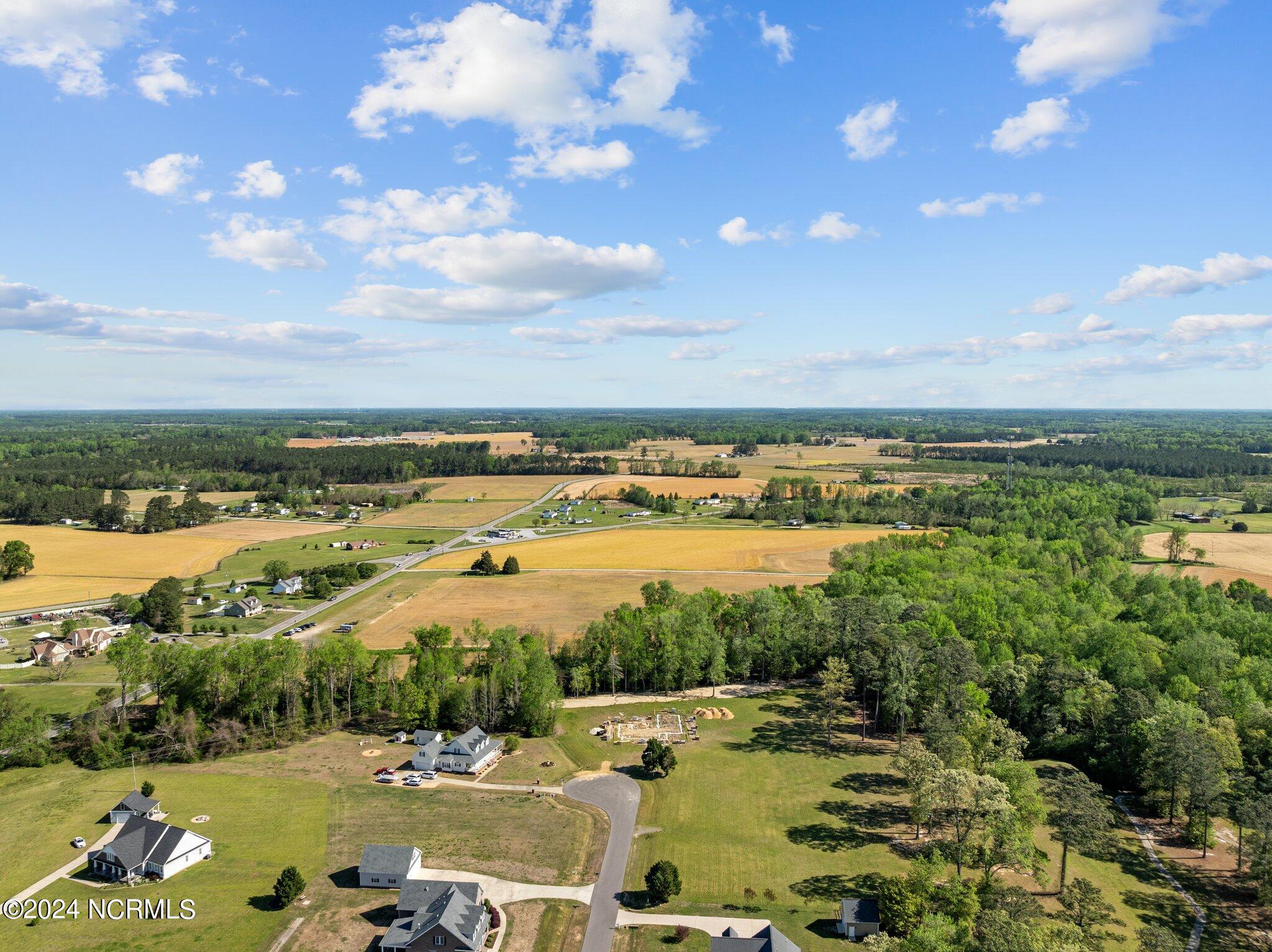 302 Golf Course Drive Pinetops, NC 27864 - Photo 25 of 34 25-web-or-mls-DJI_0970