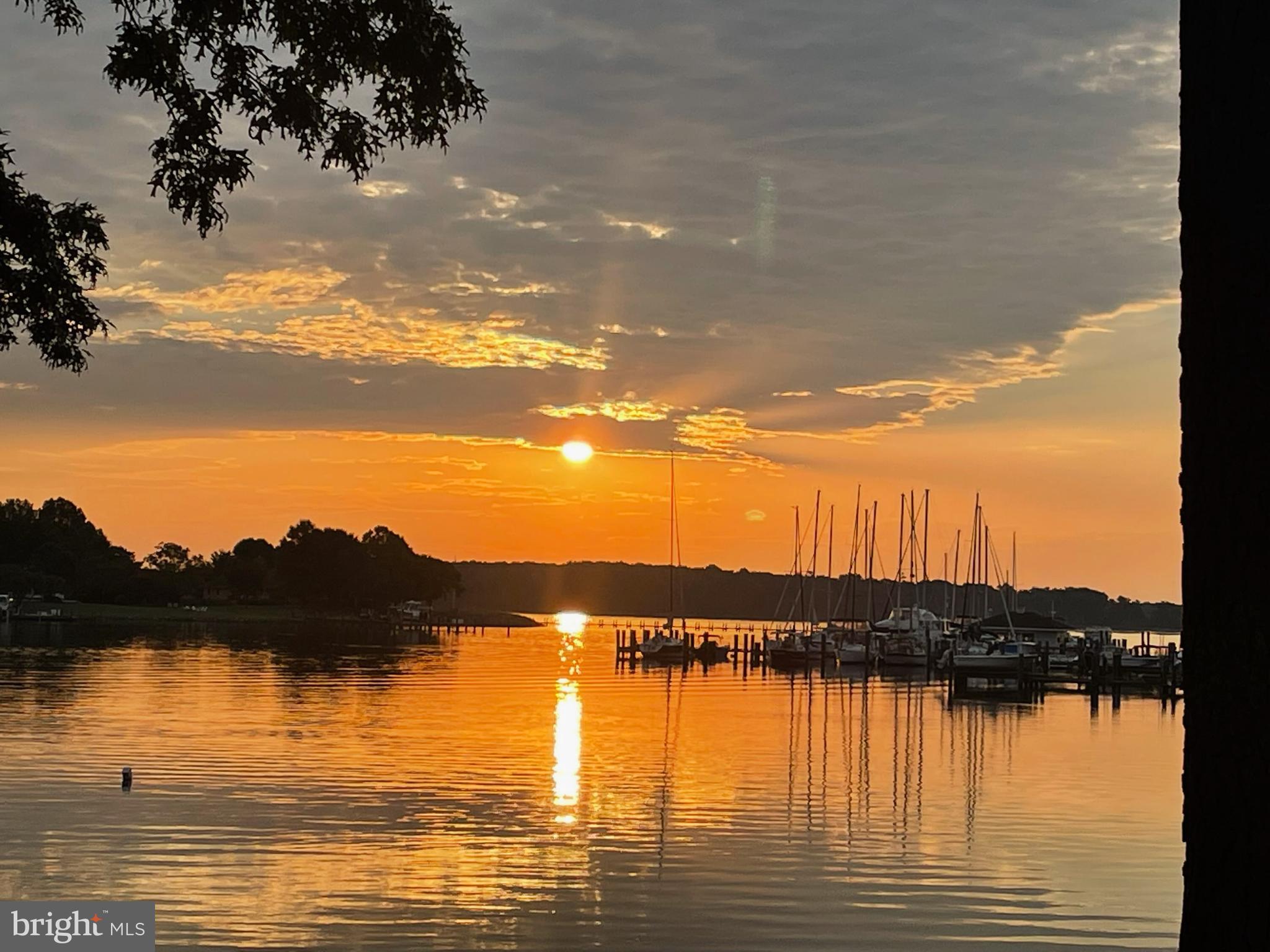 24645 Long Haul Road St. Michaels, MD 21663 - Photo 4 of 112