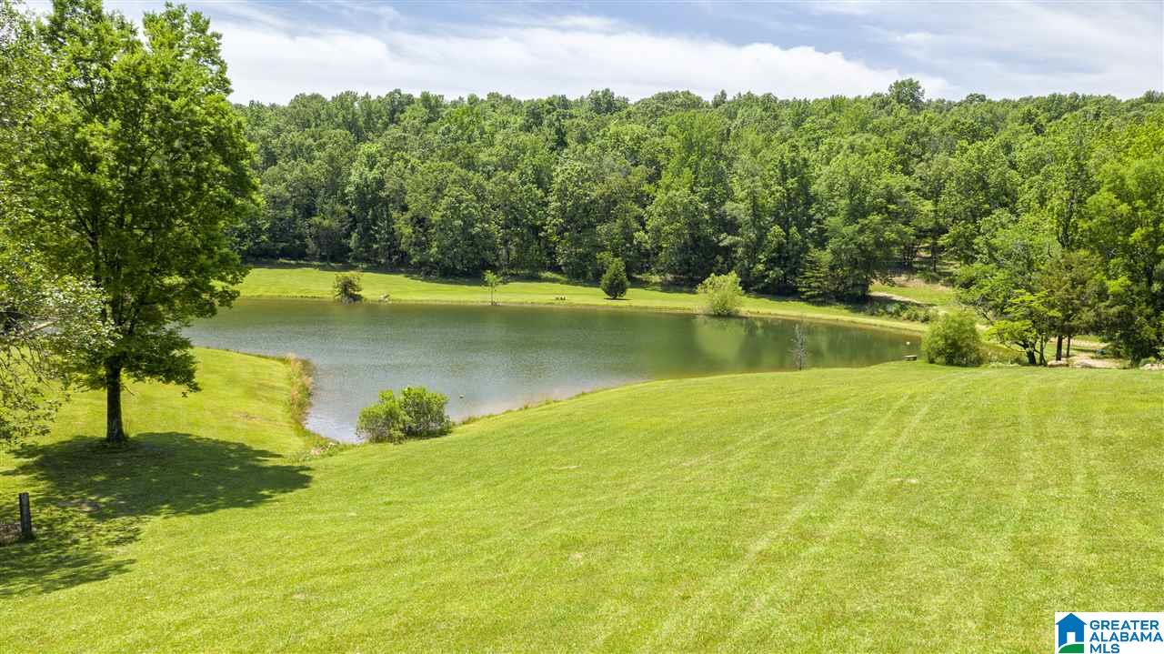 5744 Spring Creek Road Montevallo, AL 35115 - Photo 43 of 44