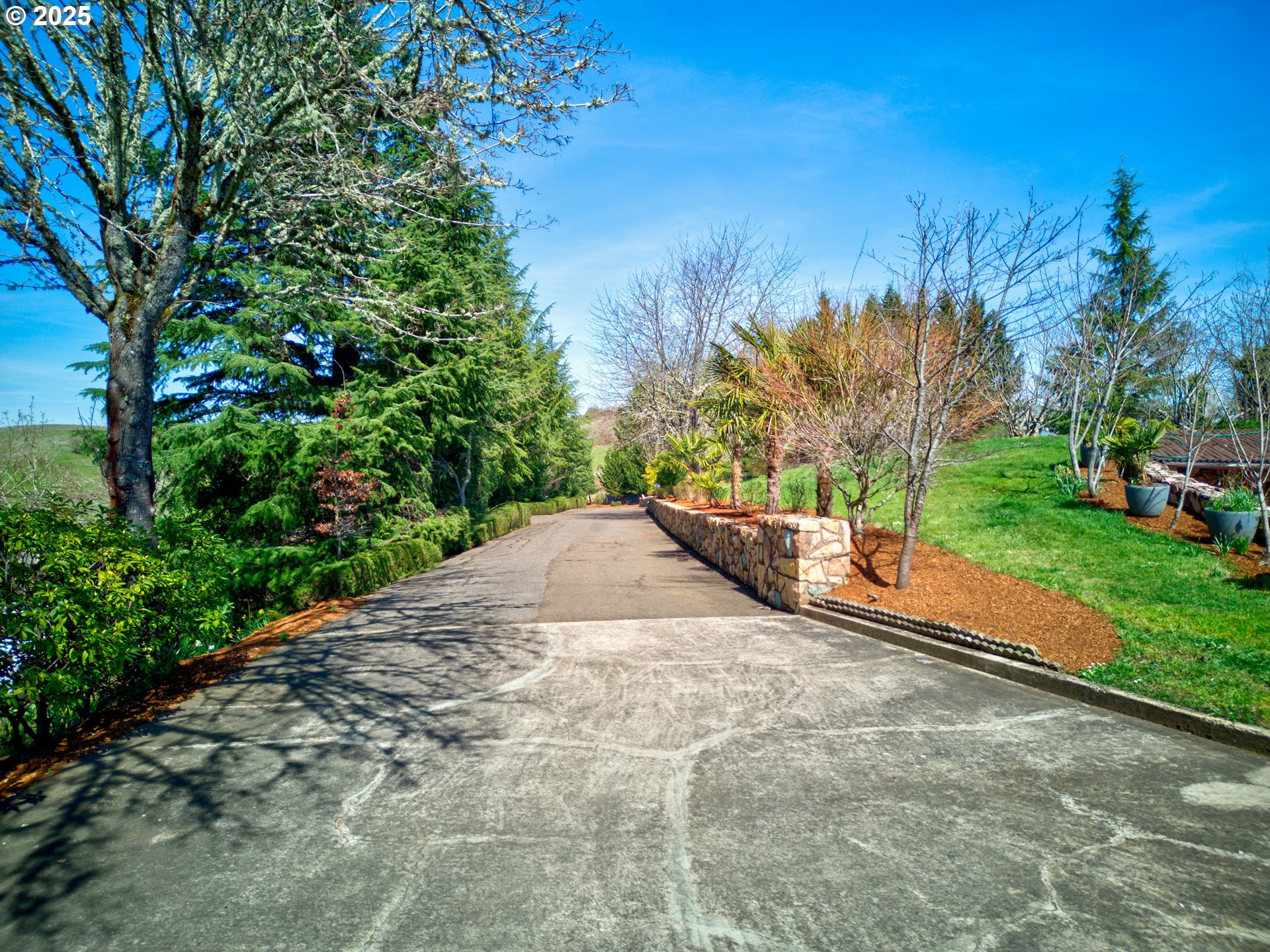 141 Umpqua College Road Roseburg, OR 97470 - Photo 35 of 45 a view of a backyard with a fountain plants and large tree