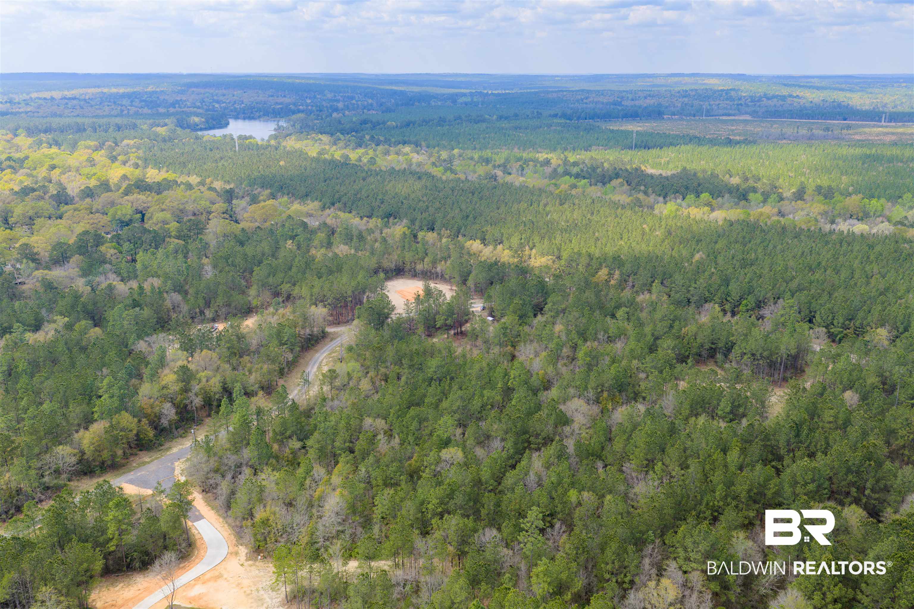 0 Salco Road Axis, AL 36505 - Photo 6 of 24 Drone / aerial view of a forest