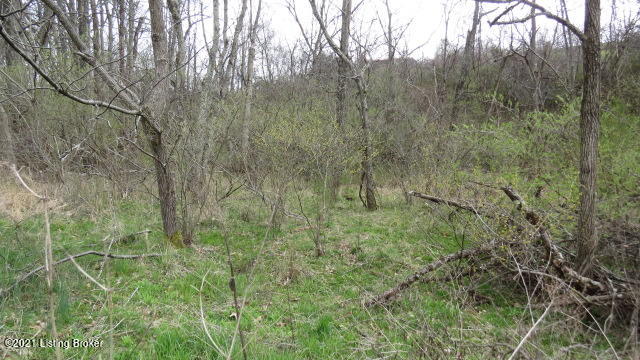 2 Herndon Road Lawrenceburg, KY 40342 - Photo 10 of 11 IMG_4898