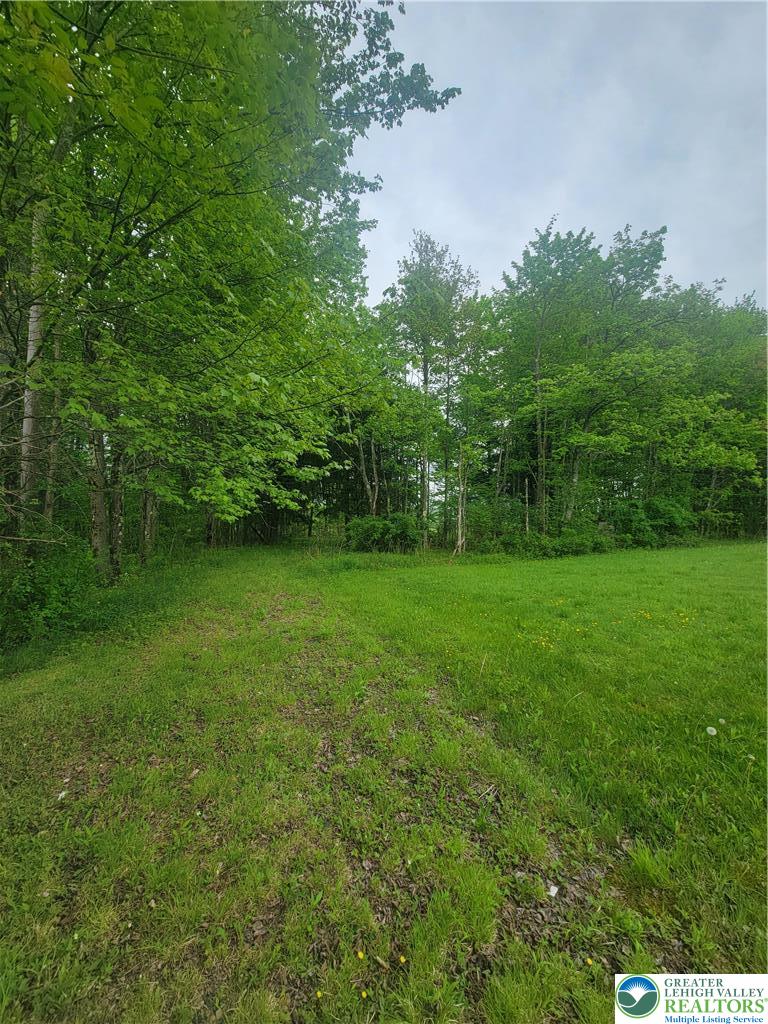 320 Hillside Street Forest City, PA 18421 - Photo 22 of 24 Green expanse bordering woodlands provides a private, natural setting.