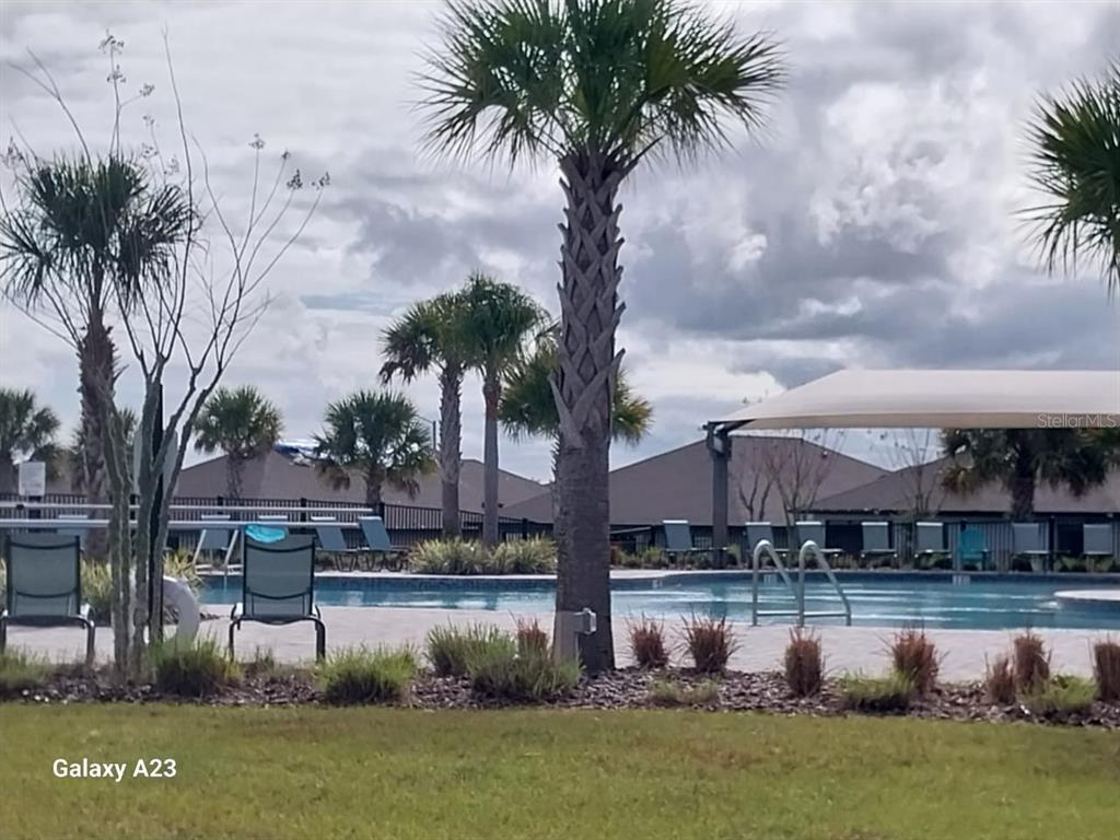 1176 Citrus Landings Boulevard Davenport, FL 33837 - Photo 14 of 15 a front view of a house with garden and swimming pool