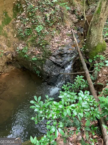 a backyard of a house with lots of green space and tree in it